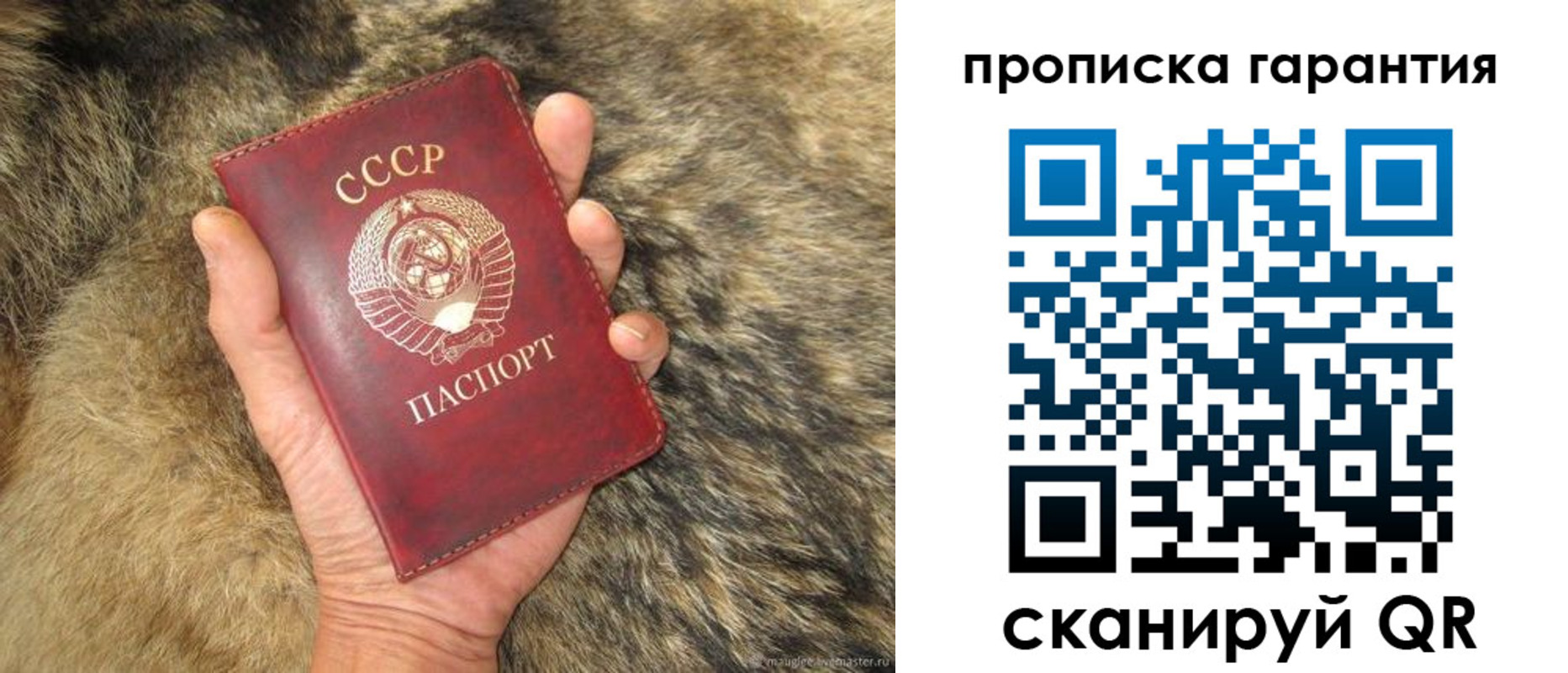 временная регистрация гарантия в Москве